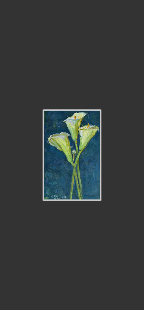 Callas31 x 20 cm, Oil on Canvas, Palette Knife, 1979
